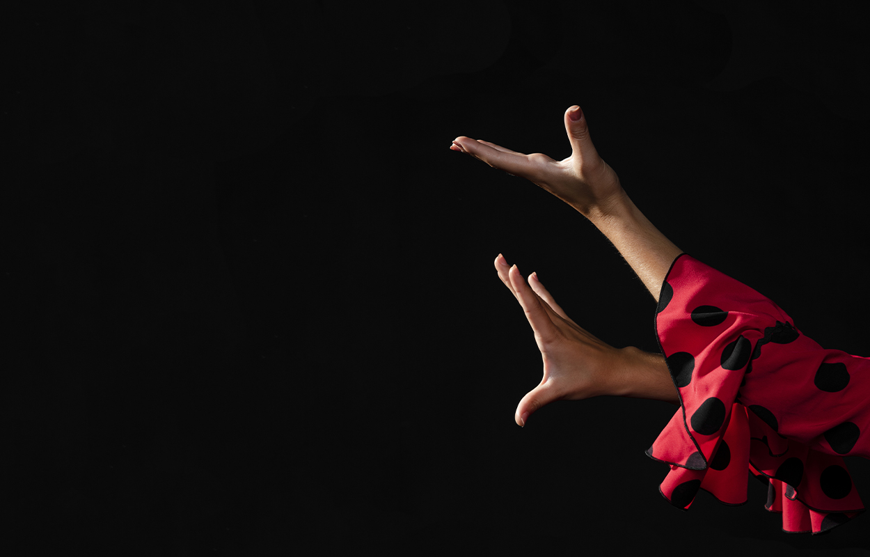 Flamencodanser Haender Sort Roed
