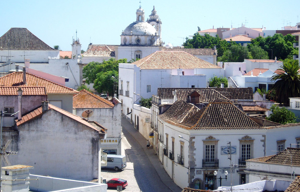 Vera Barros Header 05