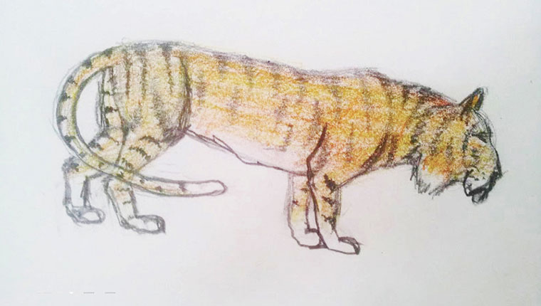 Barnetegning af tiger